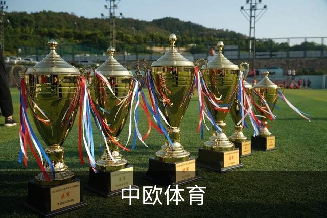 中欧体育公司简介配图